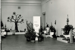 1981-Pohled-do-expozice