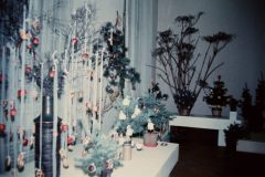 2_1981-Pohled-do-expozice