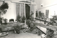 Pohled-do-expozice-3.