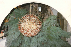 Milena-Benesova-Polaz-z-prirodnin.
