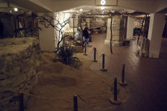 08-Pohled-do-expozice