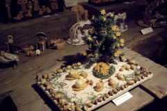 67-Jarmila-Petrikova-Vizovicke-testo.