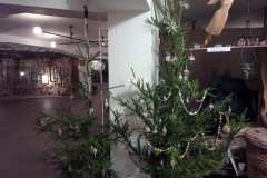 06-Rautis-Perlickove-ozdoby
