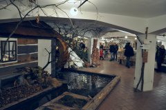 01-Pohled-do-expozice-1