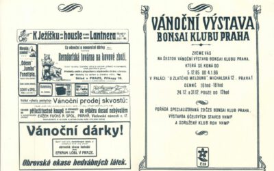 1985 Vánoce 1908