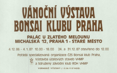 1986 Vánoce v kuchyni naši babičky