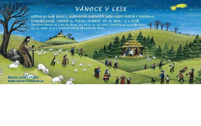 2005 Vánoce v lese
